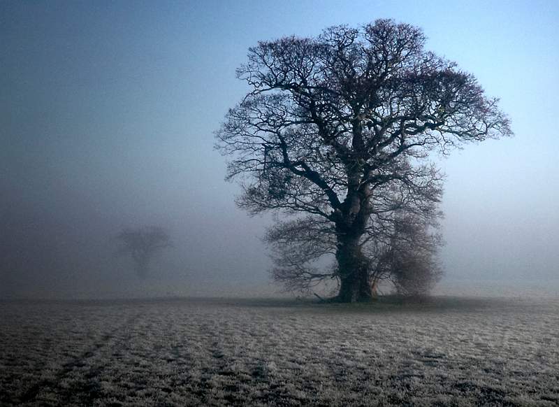 Freezing Fog - Moira Ellice.jpg